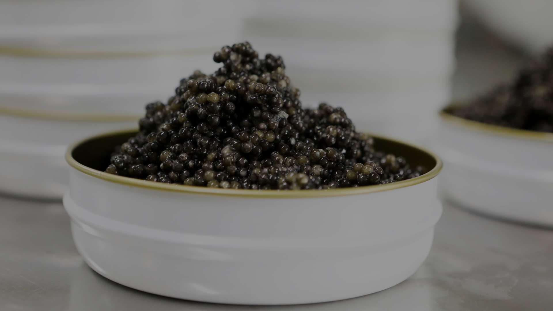 caviar24.jpg caviar24.jpg