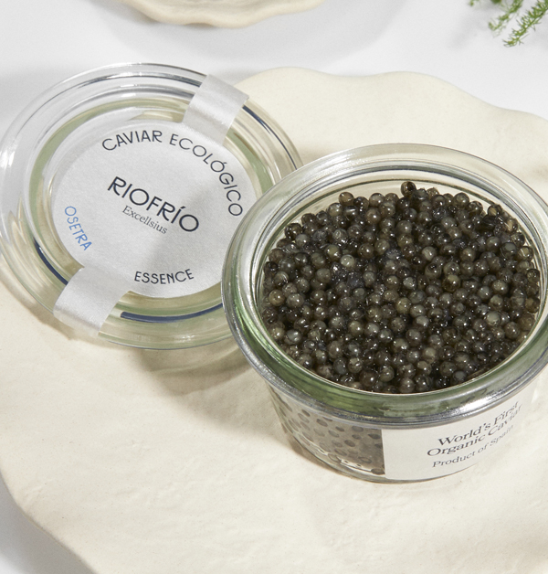 box_Caviar-OSETRA-600x628px.jpg