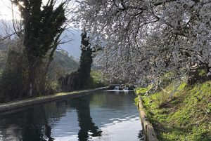 Experiencias de un día en Riofrío