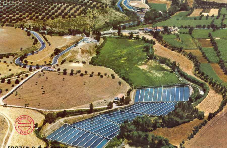 fundacion-about.jpg